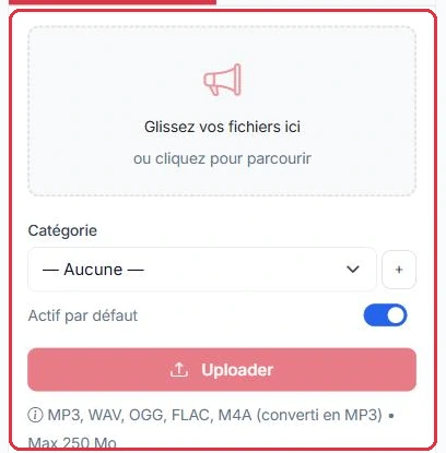 L'onglet « Uploader » : dépôt du fichier, catégorie et formats acceptés.